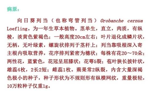 無標(biāo)題.jpg向1_副本.jpg